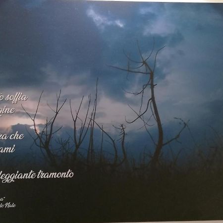 Verdepoesia Chioggia Bagian luar foto