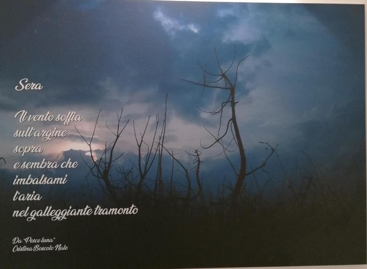 Verdepoesia Chioggia Bagian luar foto